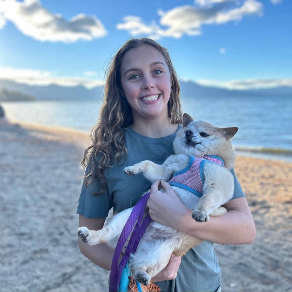 Meet your Posher, Posh